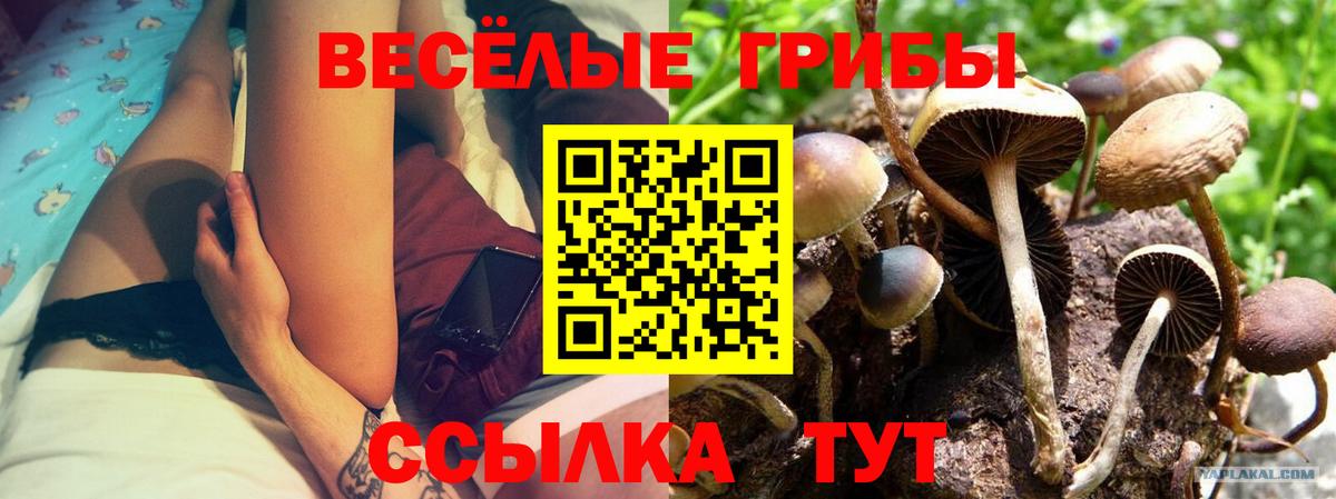 Галлюциногенные грибы мицелий  Вход с VPN  Псилоцибиновые грибы Magic Shrooms  Чапаевск 