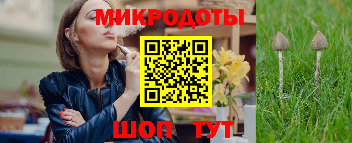 Псилоцибиновые грибы прущие грибы Чапаевск